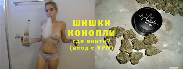 гидра Горнозаводск