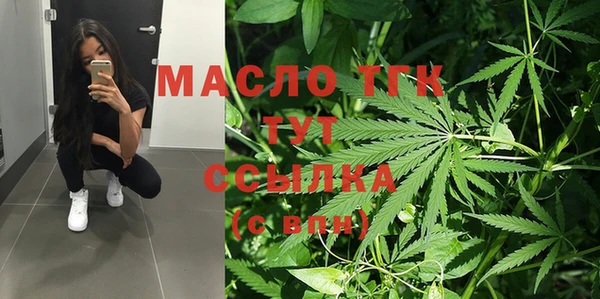 гидра Горнозаводск