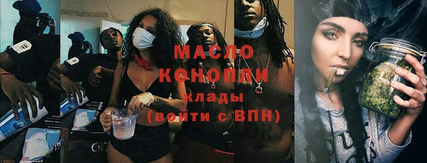 гидра Горнозаводск
