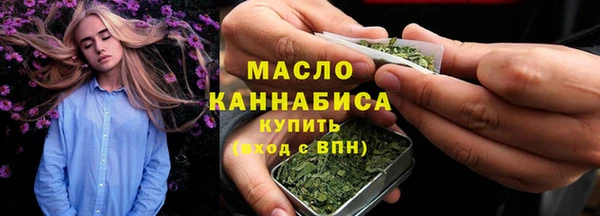 гидра Горнозаводск