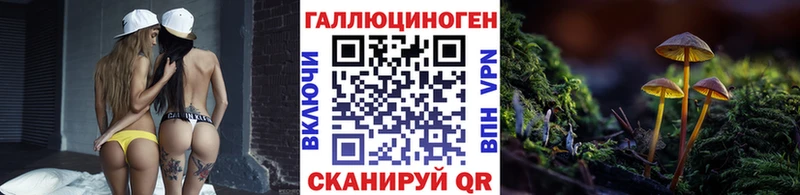 Купить где Олёкминск Псилоцибиновые грибы ЛСД
